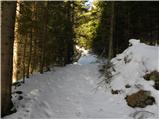 Fusine Laghi - Kopa / Monte Coppa